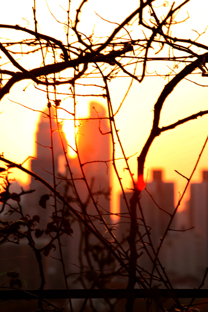 夕阳下的徐家汇港汇广场 摄影 海德