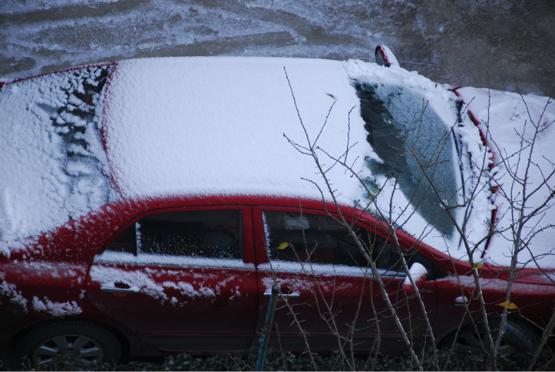 瑞雪 摄影 Ichbin