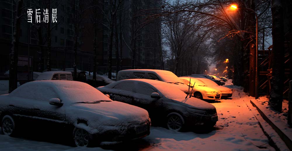 雪后清晨 摄影 扬风飞雪2011