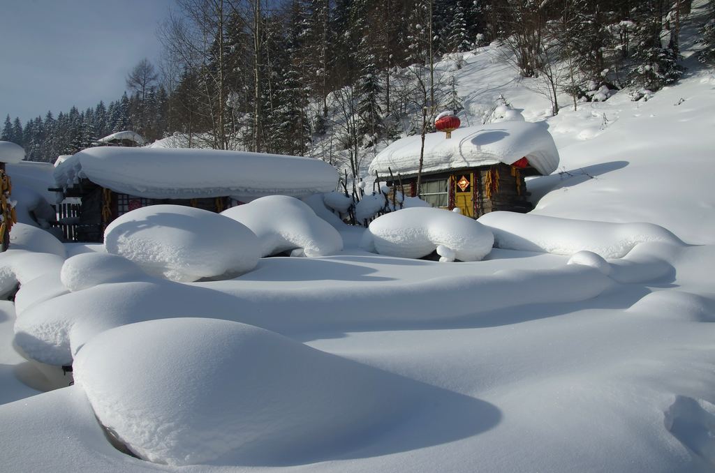 雪乡行 53 摄影 寒心