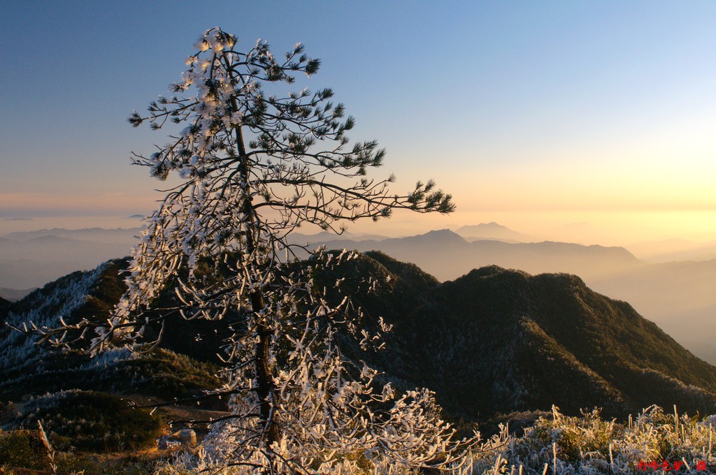 癸巳年贺岁片·九仙山雾凇03 摄影 蓝色驴