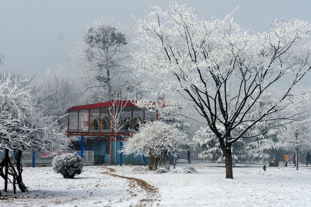 濮上雪景 摄影 政务