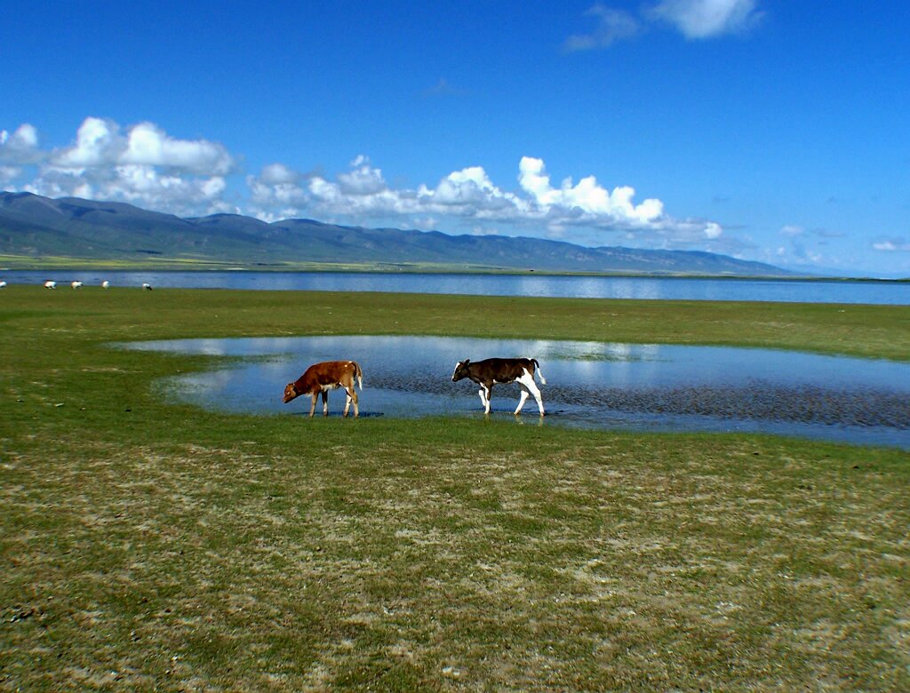 湖畔掠影 摄影 yangguanga