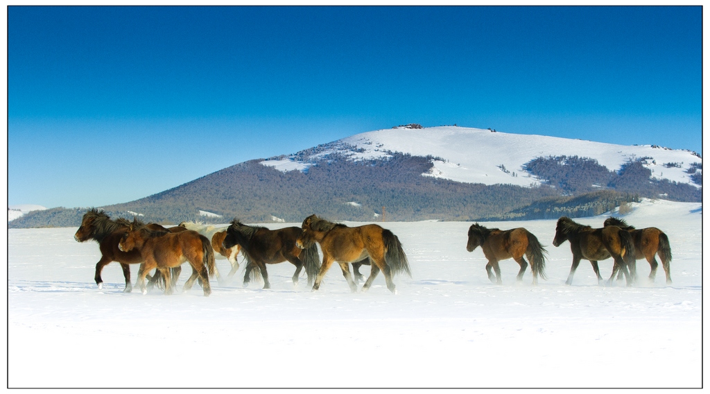 东天山风光----雪域八骏图 摄影 大漠孤烟直