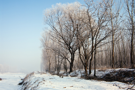 雪后 摄影 清修