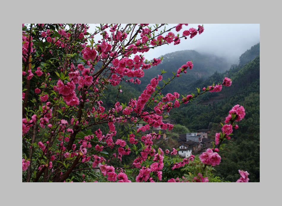 春到山村 摄影 竹海大观