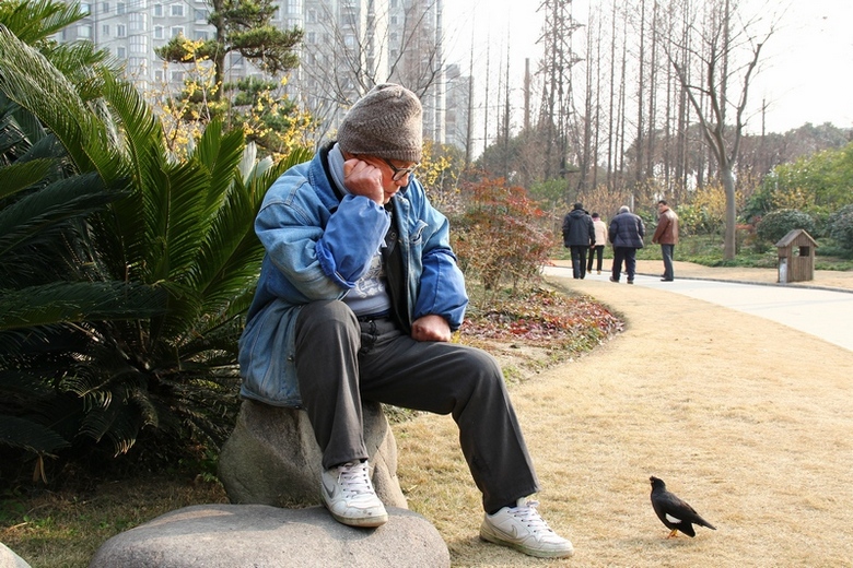 老人与鸟，对话 摄影 鸿123