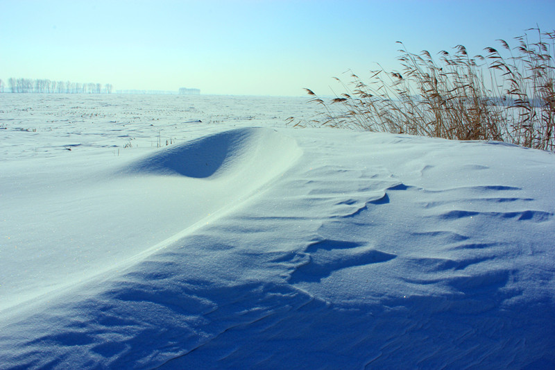 大雪 摄影 平凡人生913