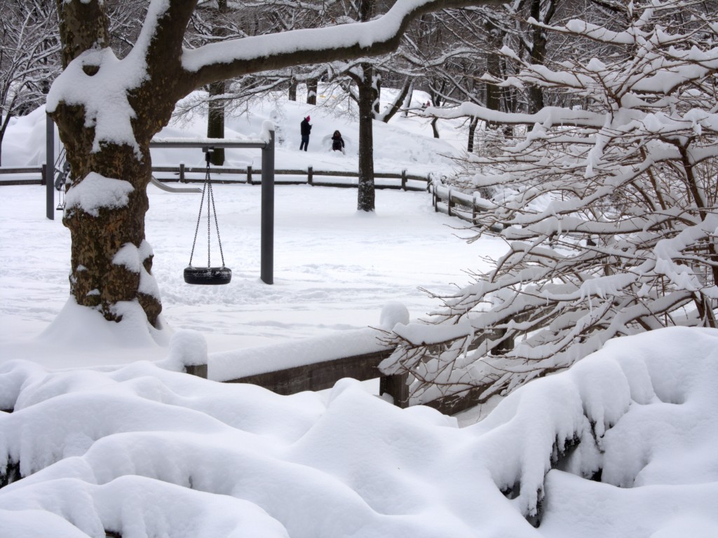 中央公园雪景－－孩子们玩雪去了 摄影 林晓醉阳