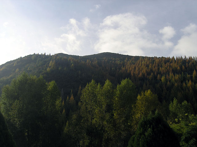 路上的风景 摄影 紫色女人