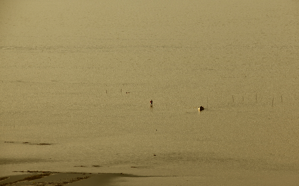 在湖中 摄影 异龙湖歌