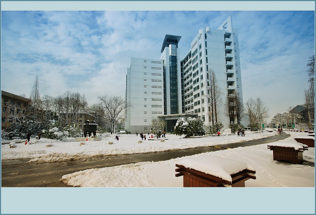 南京昨夜蛇年大雪 摄影 愣头青2