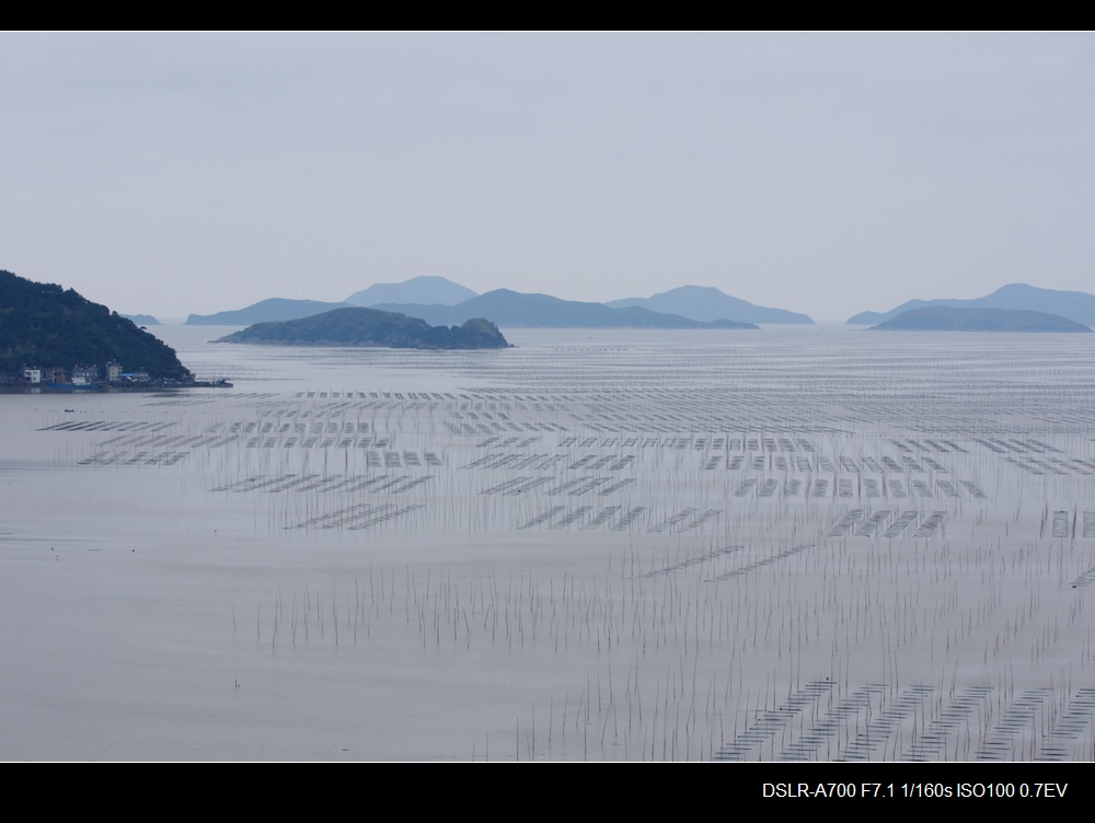 霞浦滩涂 摄影 zhouhg