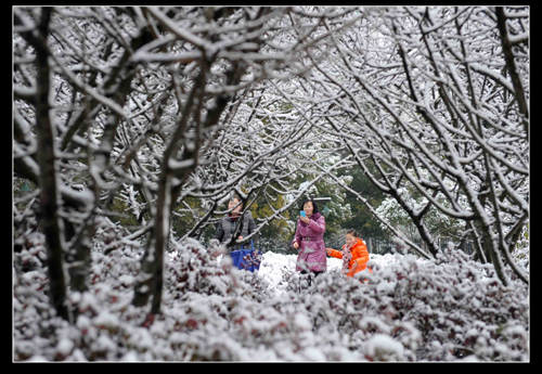 踏雪 摄影 刘慧超