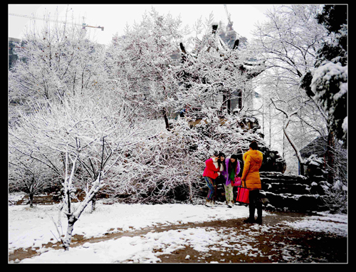 踏雪寻梅 摄影 刘慧超