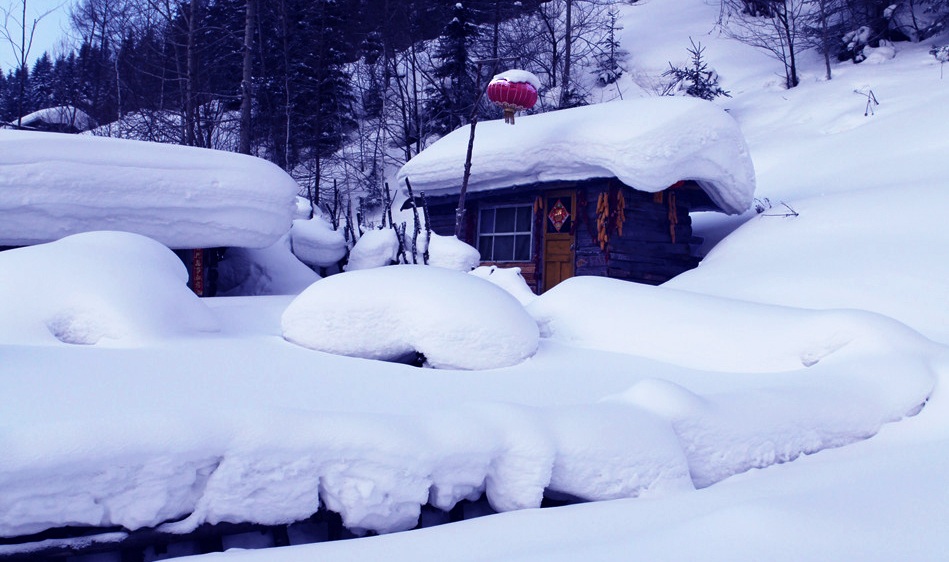 雪野人家——雪乡行 摄影 侠女西边雨