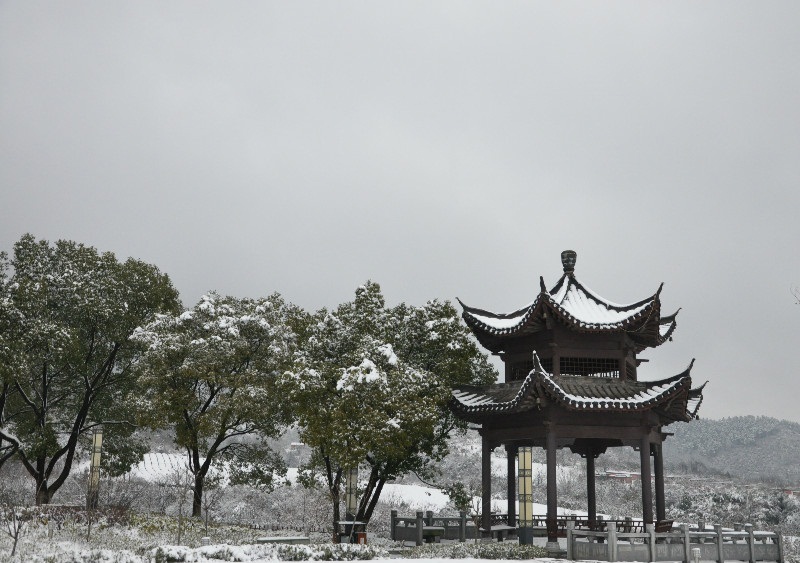 雪后小景 摄影 daizuochun