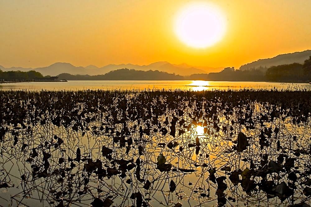 夕阳罩西湖 4 摄影 永纯