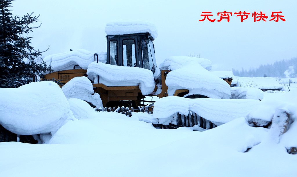 猫冬——雪乡行 摄影 侠女西边雨