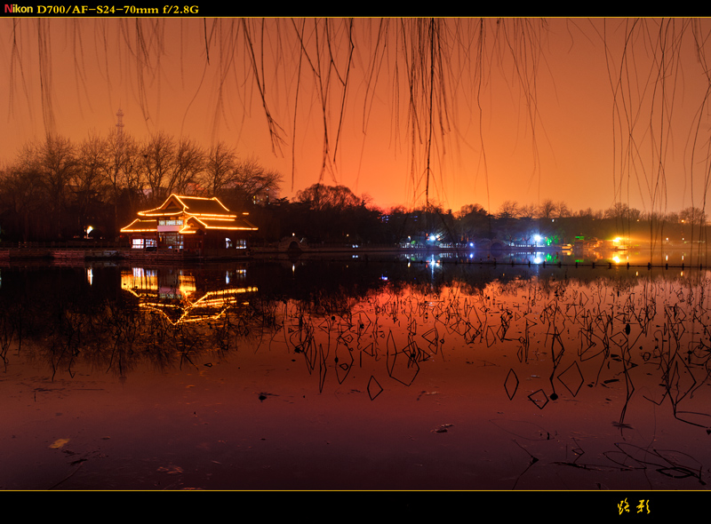 大明湖夜景 摄影 善意的谎言