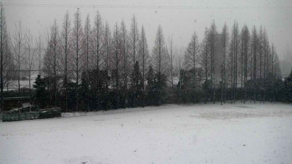 雪景 摄影 青龙居士