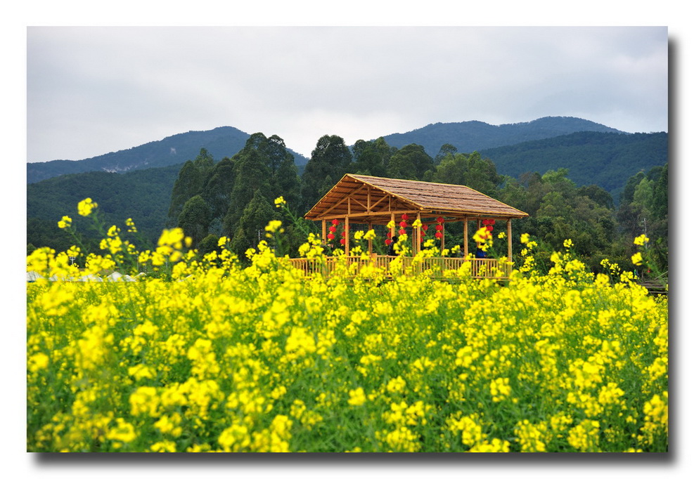 佛山高明盈香生态园 摄影 地球邨