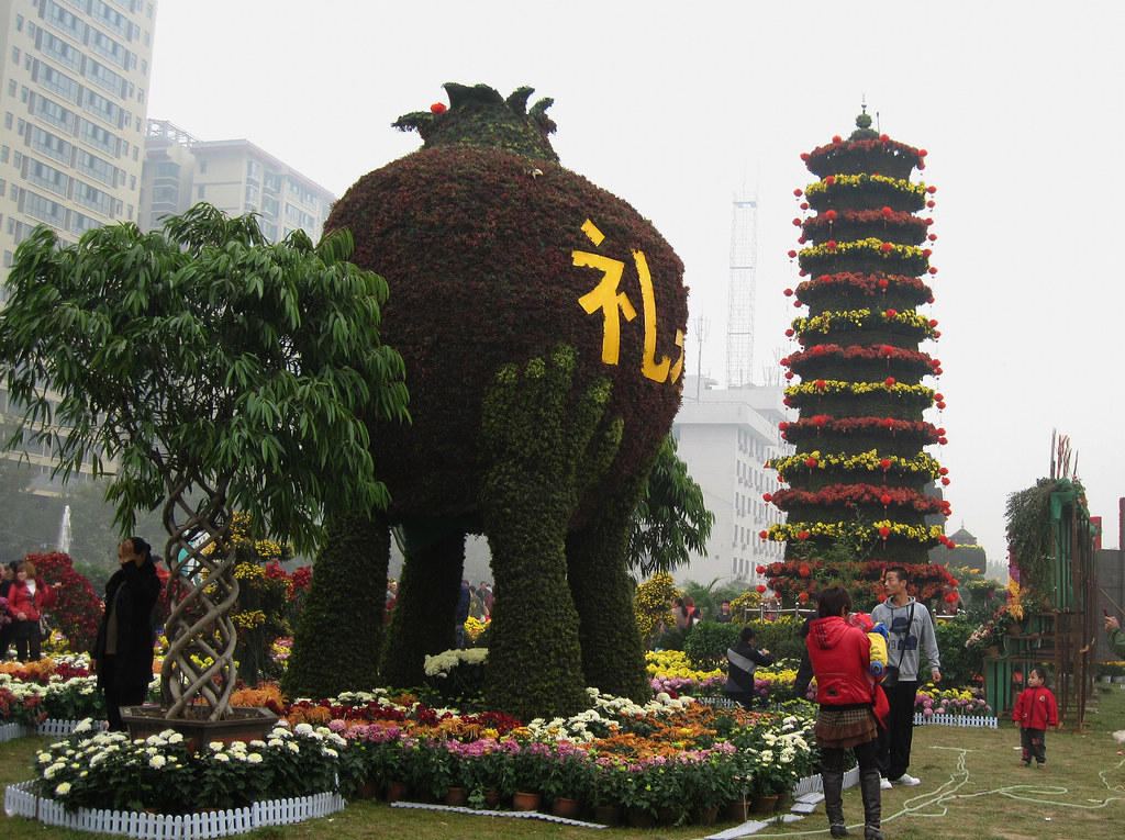 金秋赏菊51 摄影 gongmf