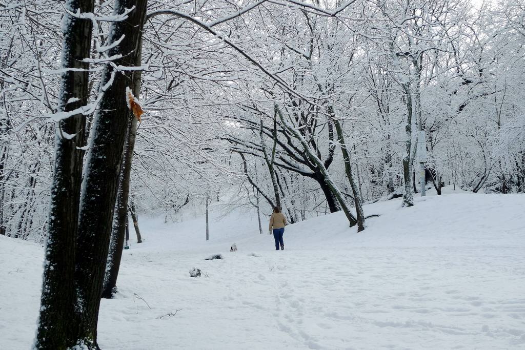 雪景【4】 摄影 金石001