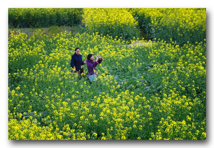 佛山高明盈香生态园3 摄影 地球邨