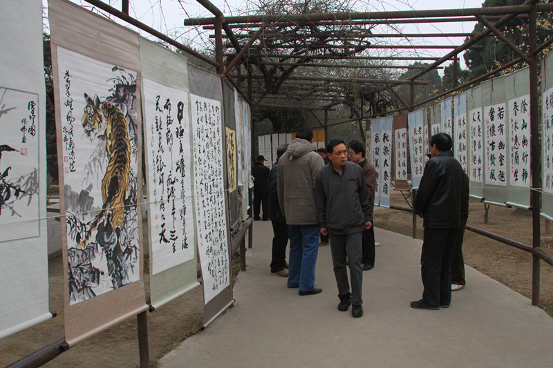 老年书画展 摄影 神气