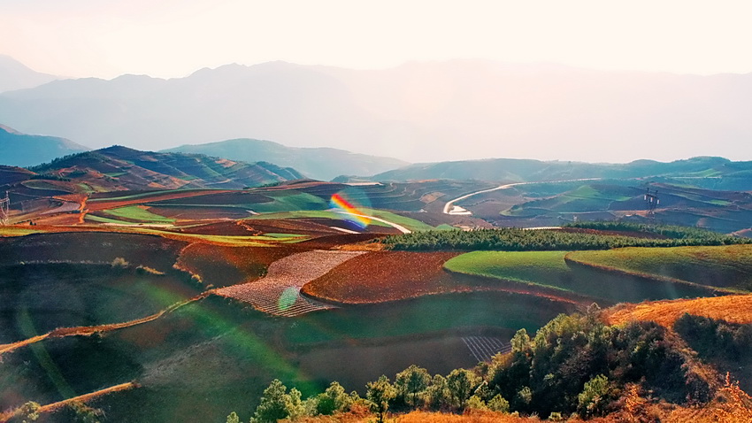 魅力红土地 摄影 蓉城一朵云