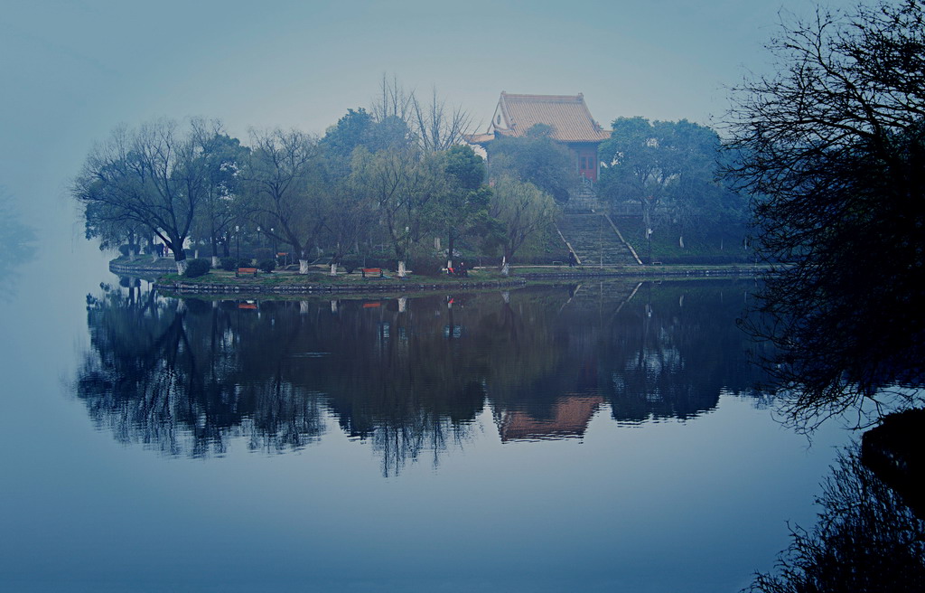 幻景 摄影 蕊宝贝