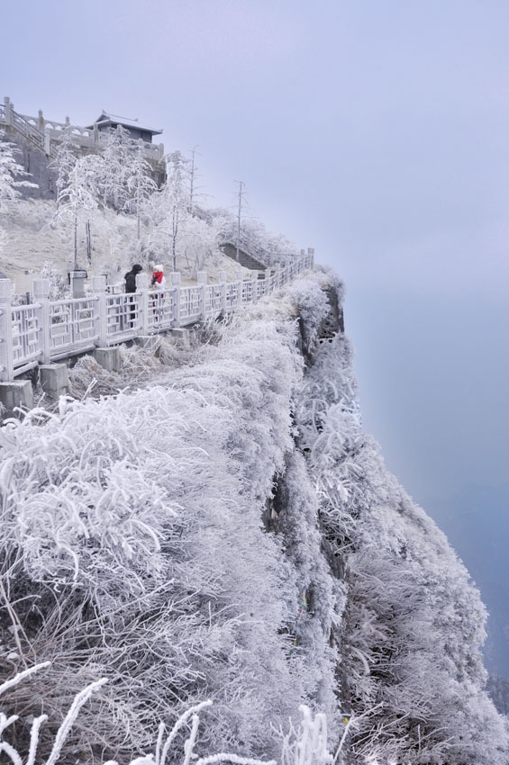 峨眉雪 摄影 梦中飞雪