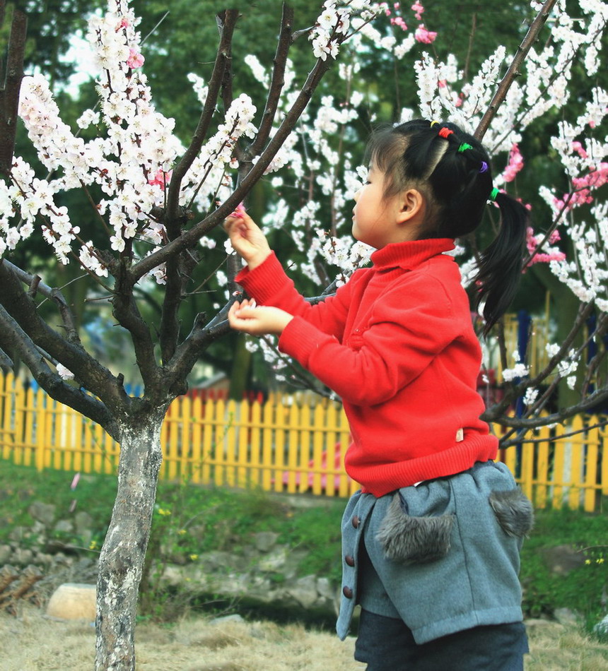 花季 摄影 蕊宝贝