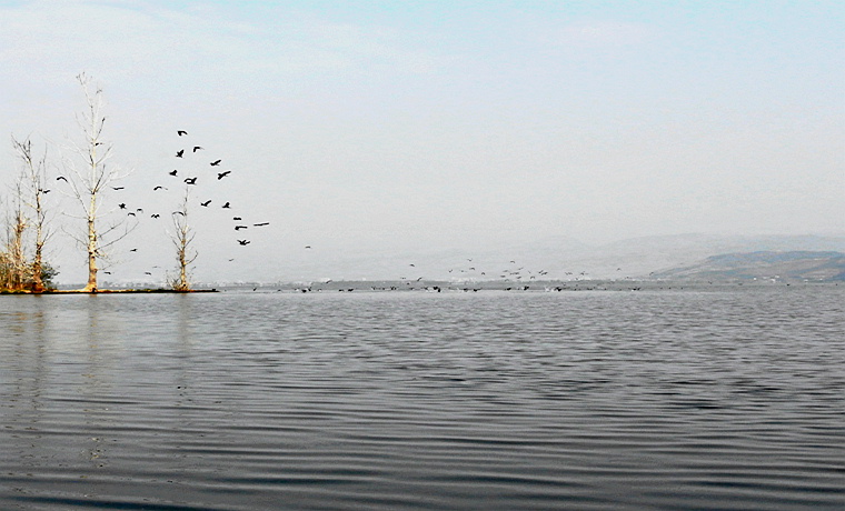 西昌邛海 摄影 浣花西图