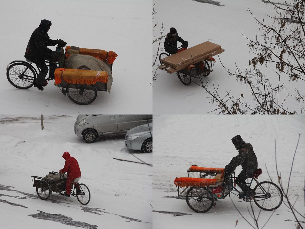 顶风冒雪 摄影 新不老