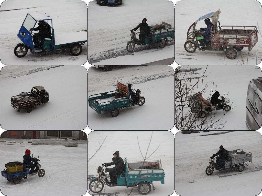 顶风冒雪 摄影 新不老