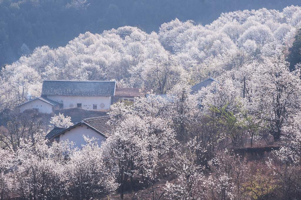 生态家园 摄影 曲木子撒