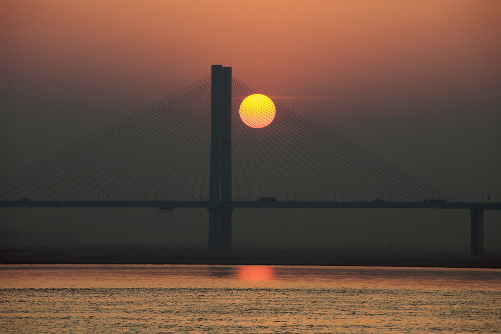 夕阳红 摄影 蕊宝贝