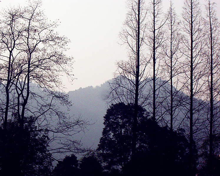 黄昏—远眺青城山 摄影 暮秋琳子