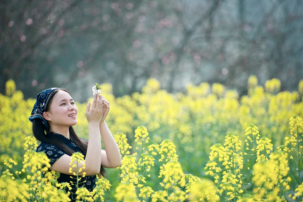 春的味道 摄影 子虚