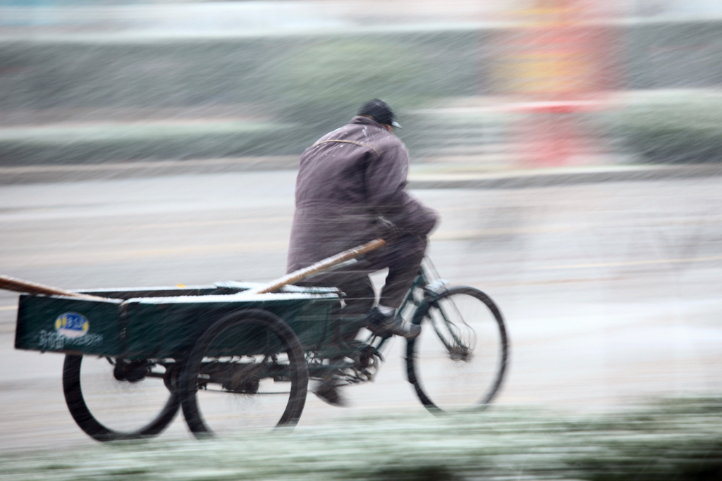 顶风冒雪 摄影 万种风情