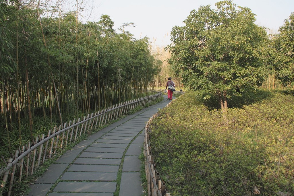 西溪湿地一景 摄影 老倔头