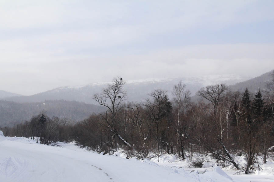 远眺雪乡富士山 摄影 旗人