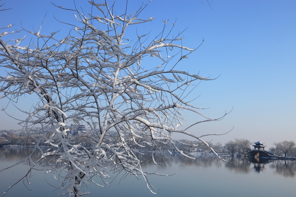 北京2013年春分的雪 摄影 南通人