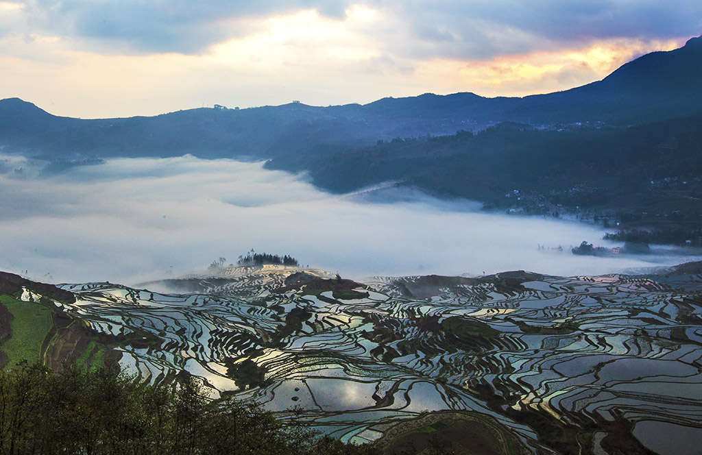 元阳梯田 摄影 箭飞