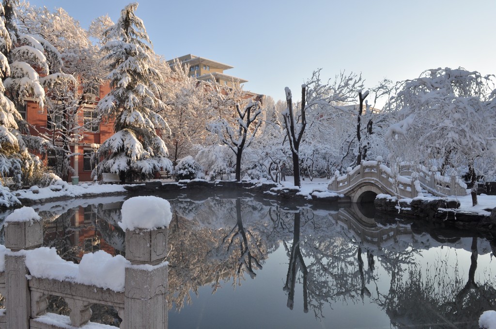 春雪2013 摄影 夏至秋实