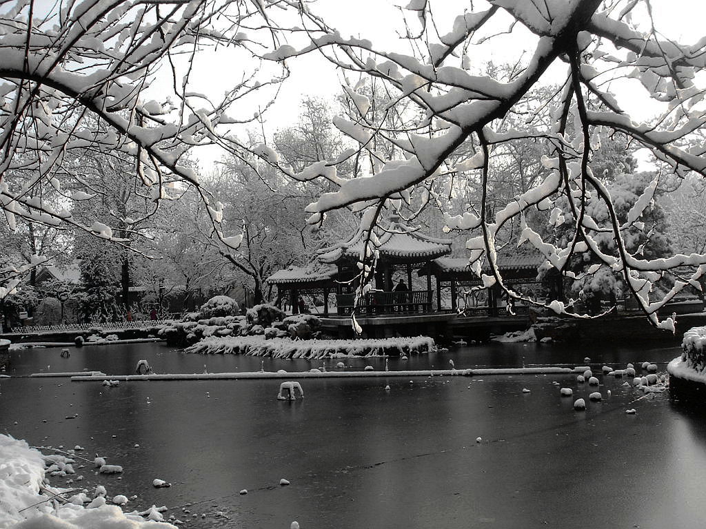 阳春白雪记春分 摄影 红星侍卫