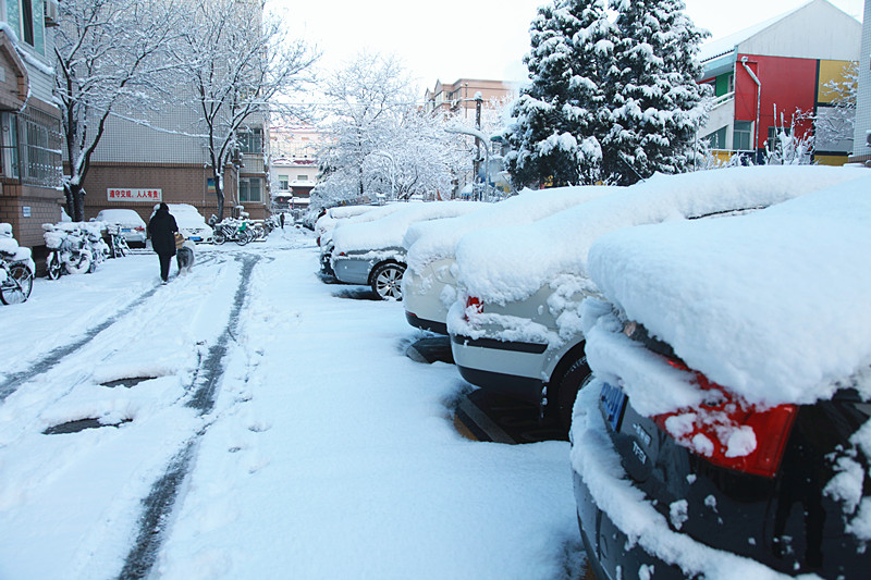 北京三月一场雪 摄影 秦川76