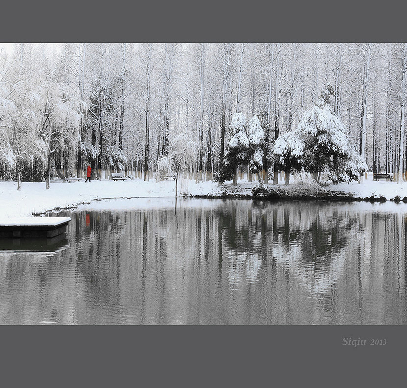 春天的雪景 摄影 思秋